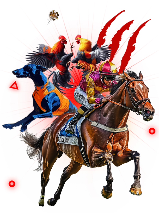 Animal betting at TOP11