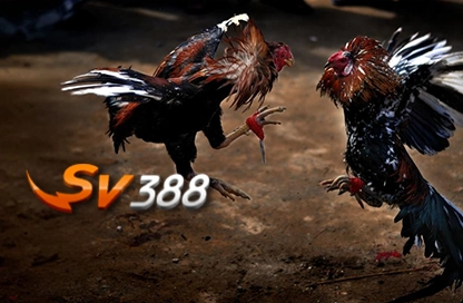 SV 388